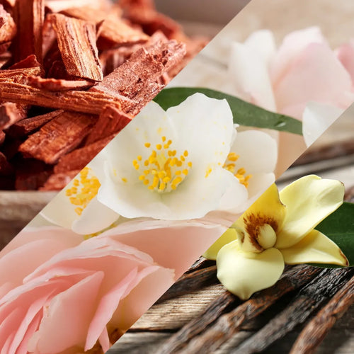 Mandala Reed Diffusers - CUSTOMISE - you choose the Fragrance