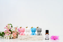 Load image into Gallery viewer, Car Vent Diffusers  - Little Bears so cute so different