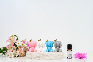 Car Vent Diffusers  - Little Bears so cute so different